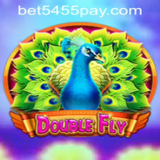Exploring the Exciting World of DoubleFly: Rules and Features